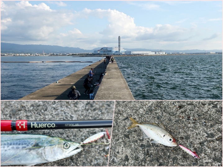 9月中旬岸和田一文字へショアジギング|活性が低い中釣れたヒットパターンとボウズ回避の釣具を紹介