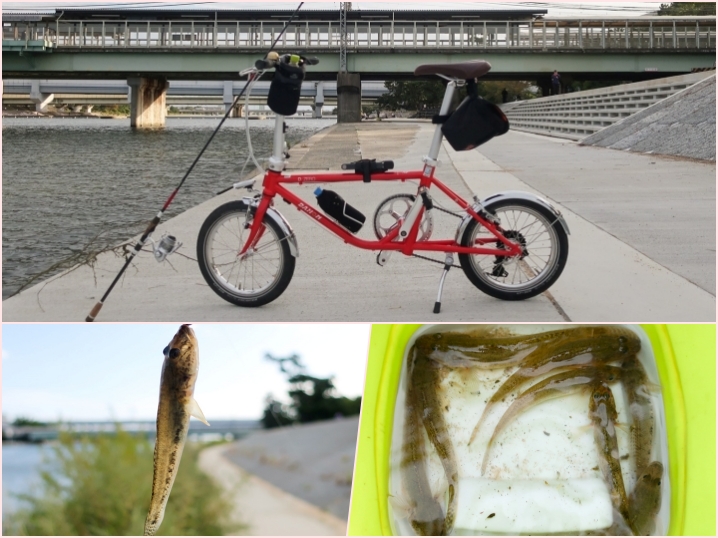【自転車釣行】都市型河川（武庫川）でサイクリング＆ルアーでハゼ釣り|ヒットパターンと3つの気付きを紹介