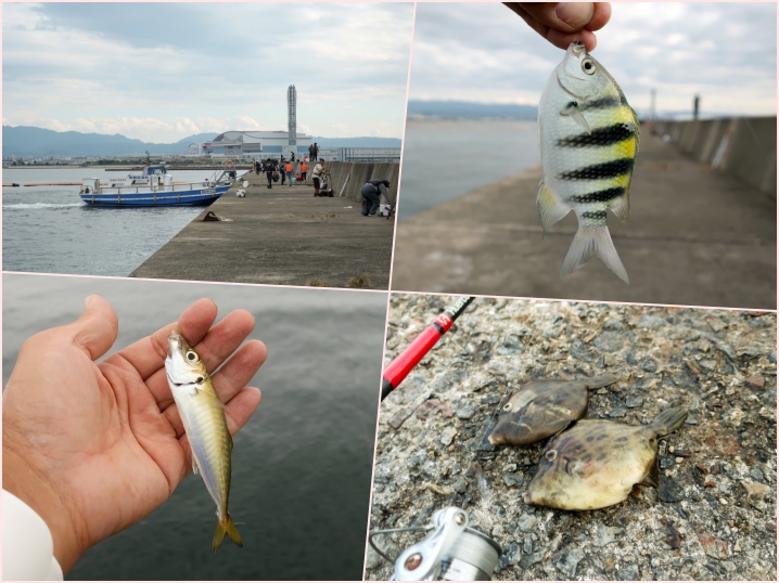 9月下旬岸和田一文字でハギング釣行で分かった！カワハギをルアーで釣る為の7つのコツ