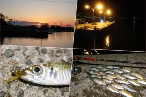 10月下旬淡路島東部で豆アジング数釣り|釣り方・ワーム・ジグヘッドを紹介