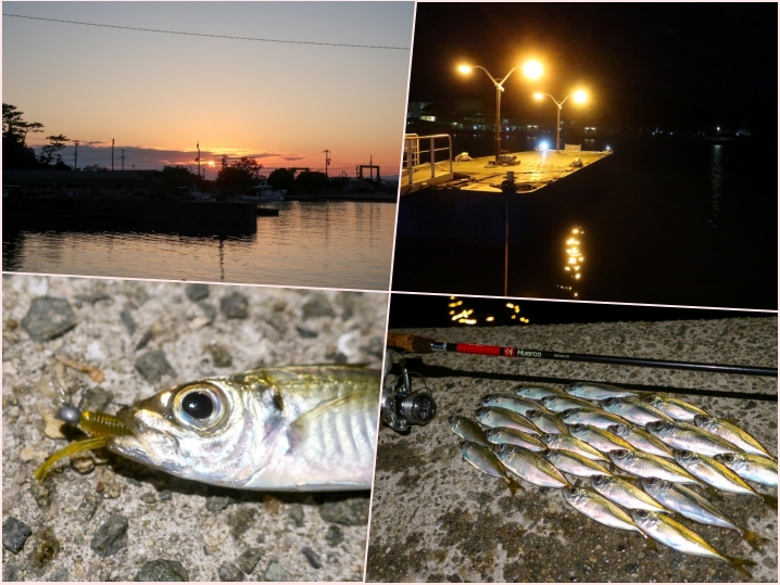 10月下旬淡路島東部で豆アジング数釣り|釣り方・ワーム・ジグヘッドを紹介
