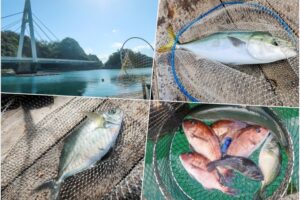 1月の海上釣り堀「雑賀崎シーパーク」へ釣行|魚の活性が低くて釣れない時の４つの攻略法を紹介