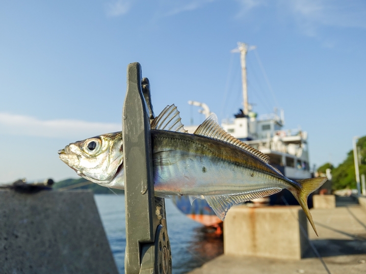 釣り方