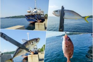 デイアジングで五目釣り|デイアジングでのポイントの選び方＆釣り方を紹介in坊勢島
