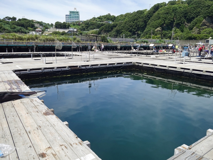 その後は釣れずに釣り終了