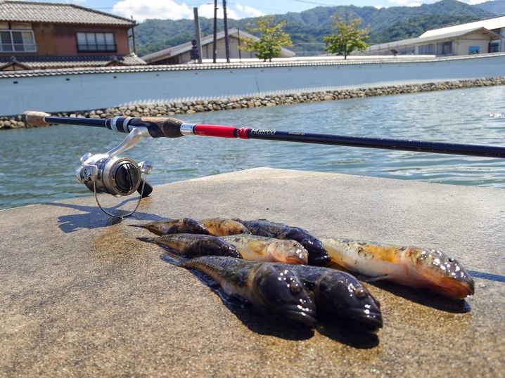 ワームでハゼを釣る「ハゼット」：当日の釣果