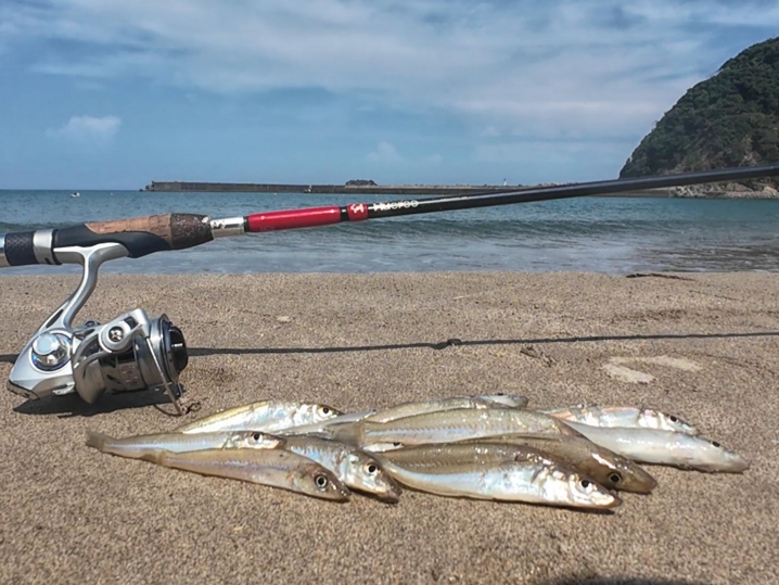 キスのルアー釣り：当日の釣果