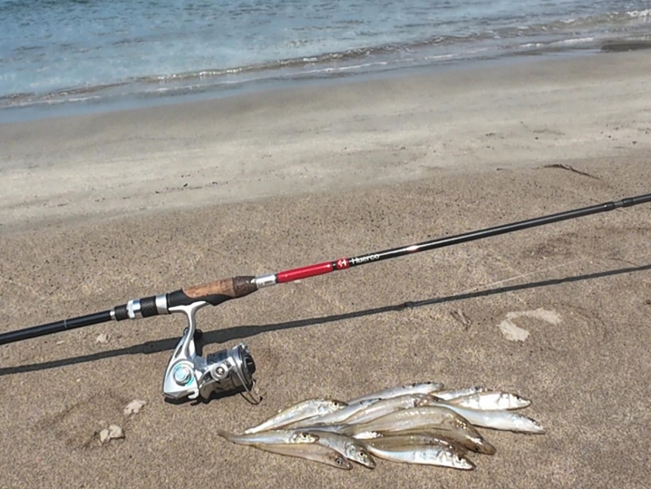 充分な数のキスを釣ったので釣り終了