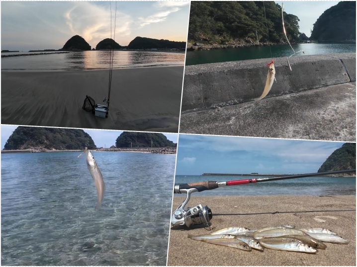 キスのルアー釣り|天秤仕掛けとジグ単それぞれの釣り方・ルアー・ライン・タックルを紹介in兵庫県美方郡