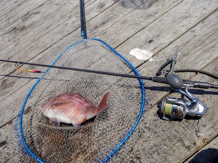 釣りおじさん試作ウキ釣り用スピニングロッド