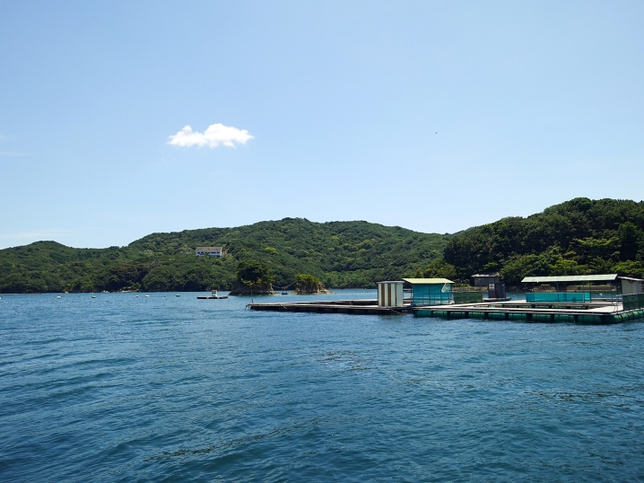 その後は釣れずに釣り終了