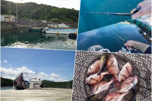 【海上釣り堀：初心者向け】「ウキ釣り」と「脈釣り」を使い分けて好釣果！なぜ中央はウキ釣り？際は脈釣り？その理由とはin傳八屋