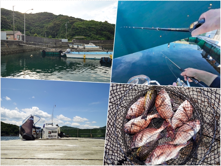 【海上釣り堀：初心者向け】「ウキ釣り」と「脈釣り」を使い分けて好釣果！なぜ中央はウキ釣り？際は脈釣り？その理由とはin傳八屋