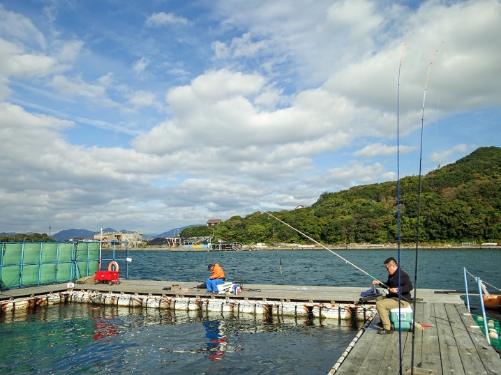 当日の海上釣り堀「カタタの釣堀」の状況