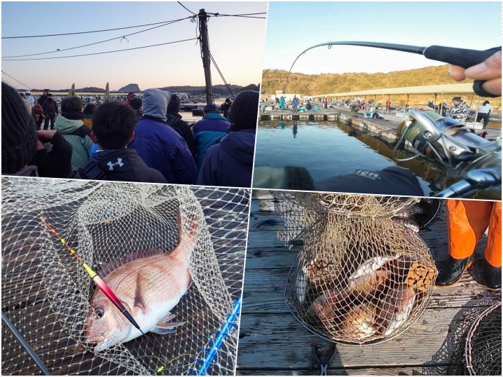 【海上釣堀】「アタリがあるけどかからない」を攻略！低活性で食いが浅い真鯛を釣る為に出来る5つの対策in水宝