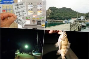 【メバリング：初心者向け】メバルを釣るには「表層」か「底」|その理由を紹介in家島諸島(西島)ライトゲーム