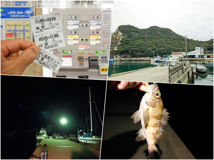 【メバリング:初心者向け】メバルを釣るには「表層」か「底」|その理由を紹介in家島諸島(西島)ライトゲーム