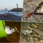 3月末の答志島アジング・メバリング|大荒れ後の濁りの中「ワーム・プラグ・フライ」を使い分けて好釣果！釣り方を詳しく紹介