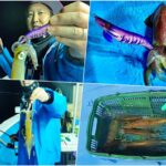 【イカメタル】荒天の中で好釣果！「船が揺れる時のリグ設定」と「魚がアタリまくる時のカラー選択」について紹介in福井
