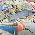 北方川釣り体験場で爆釣する為のコツとヒットルアーを紹介